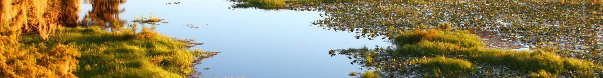 Lake Wales FL Smaller